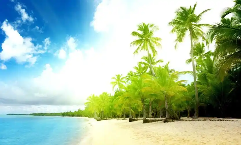 夏日的海滩,风景-手机壁纸