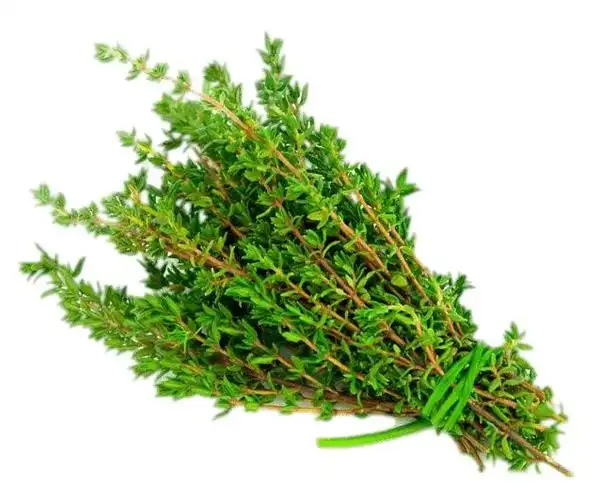 thyme