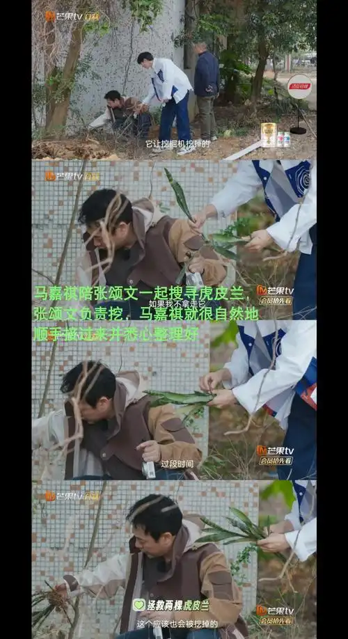 马嘉祺古希腊掌管生火的神##马嘉祺灿烂的花园