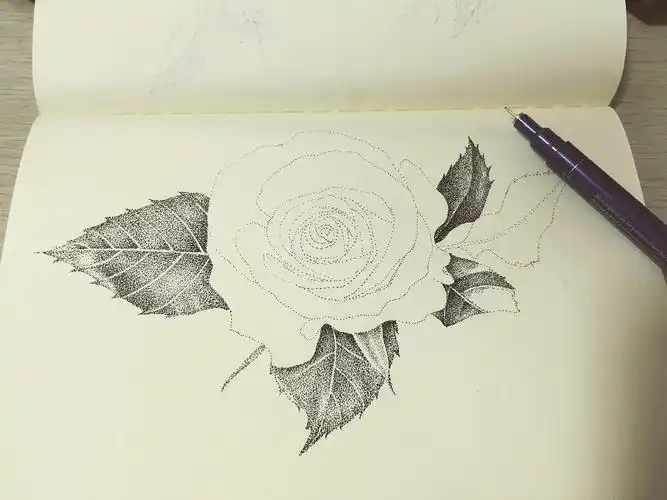 点绘《花卉》-带步骤