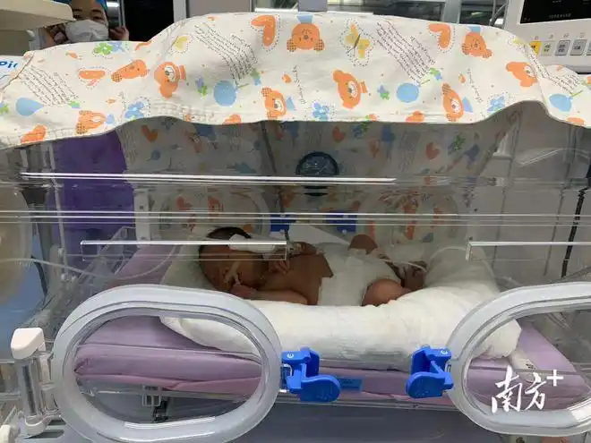 刚出生4天的小米(化名)身上插着管子,在重症新生儿科的保温箱里手舞足