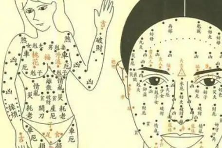 一个人如果在手臂内侧有痣的话,代表了这样痣相特点的人不仅仅会有很