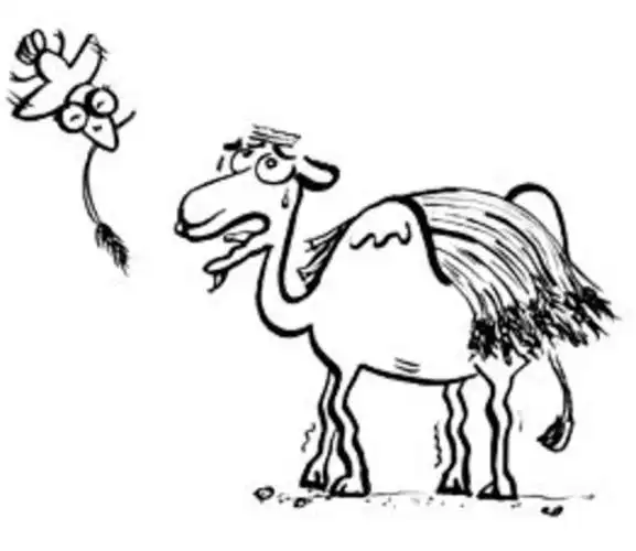 价值观早晚是压死阿里巴巴的最后一根稻草