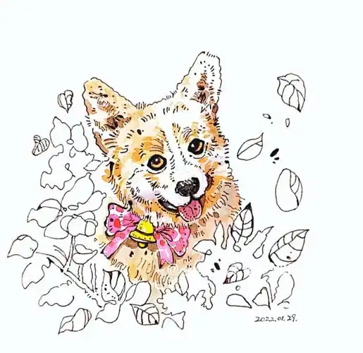 钢笔淡彩动物可爱的柯基附线稿