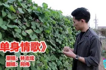 光棍节清晨女生在男生宿舍楼下唱《单身情歌》_百度视频搜索