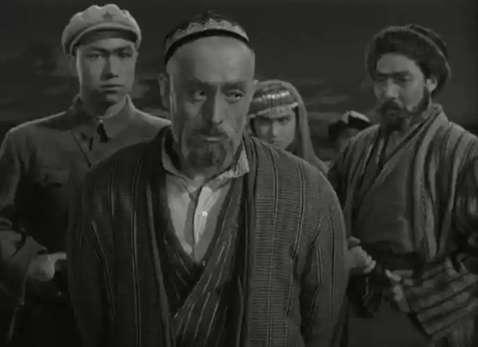 历史中最亮的色彩|红色电影《冰山上的来客》导读_阿米尔