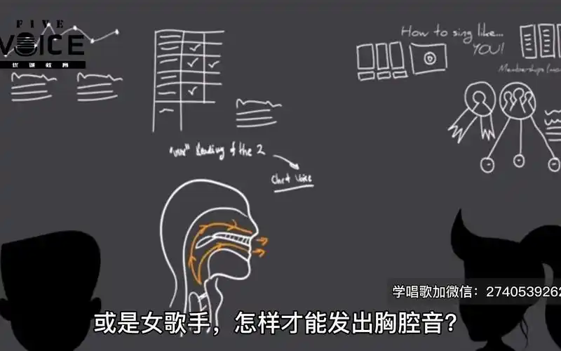 【布雷特·曼宁】胸声&头声的练习