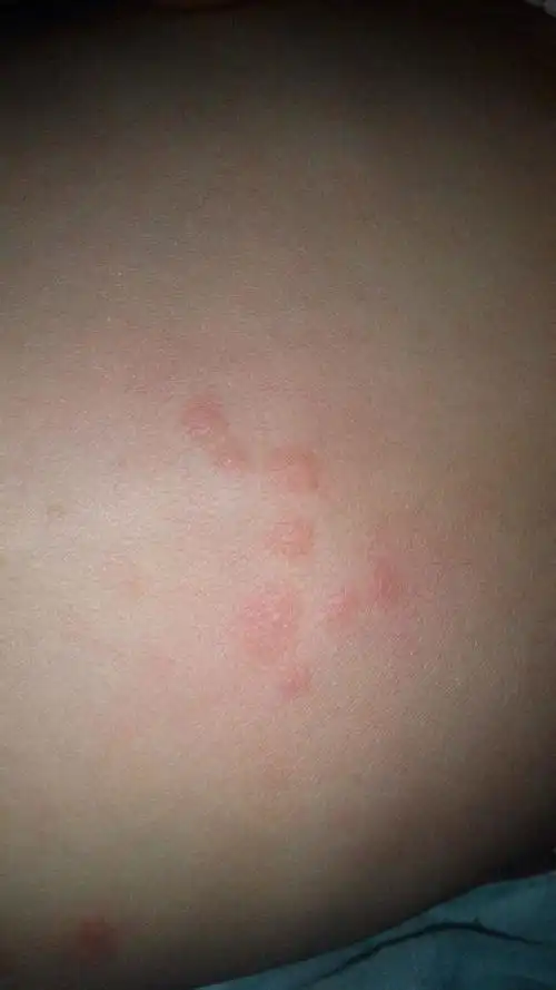  我来答      微信扫一扫 网络繁忙 请稍后重试 新浪微博 qq空间