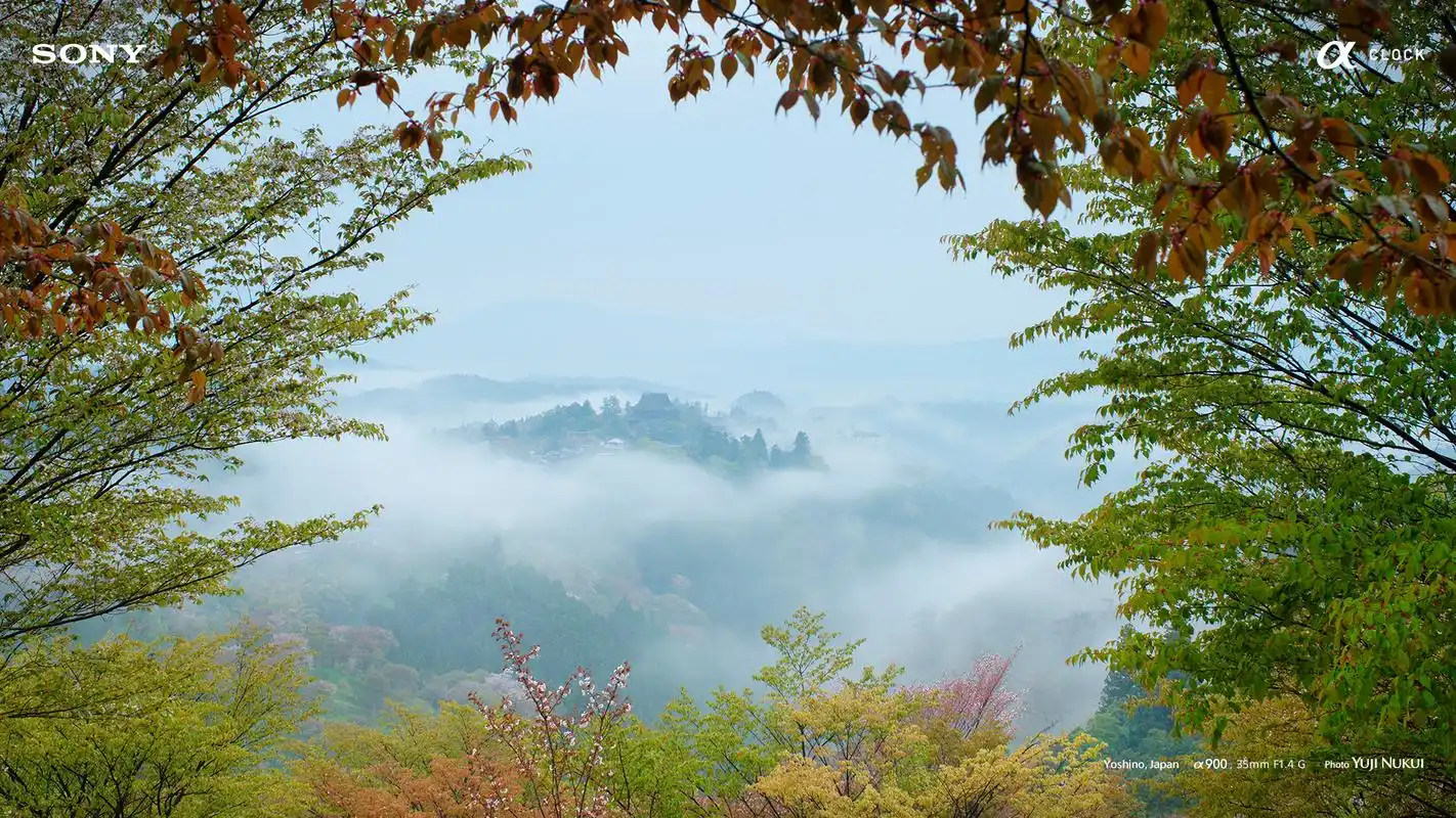 首页 桌面壁纸 风景壁纸 日本吉野山世界最美24小时旅游胜地壁纸