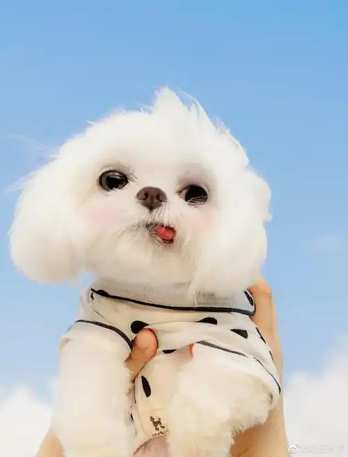 来自:蕾蕾2021-10-19 22:10:27