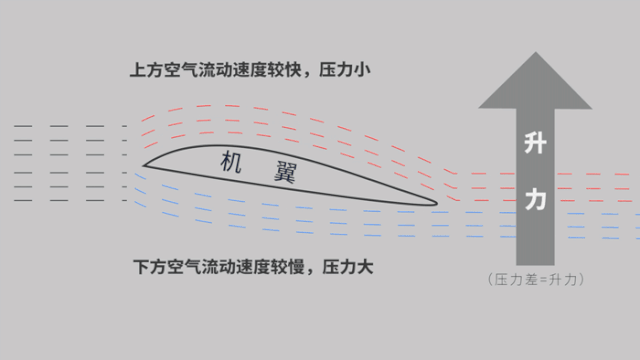 趣科技95飞机的飞行原理大揭秘疑惑瞬间秒懂