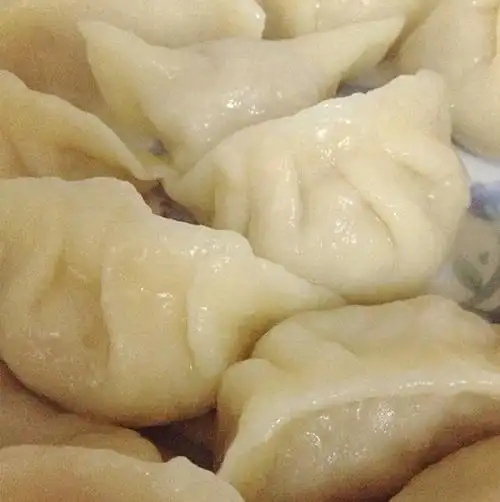 阿格蕾蕾蕾做的白菜猪肉水饺白菜猪肉水饺饺子首页登录注册作品动态