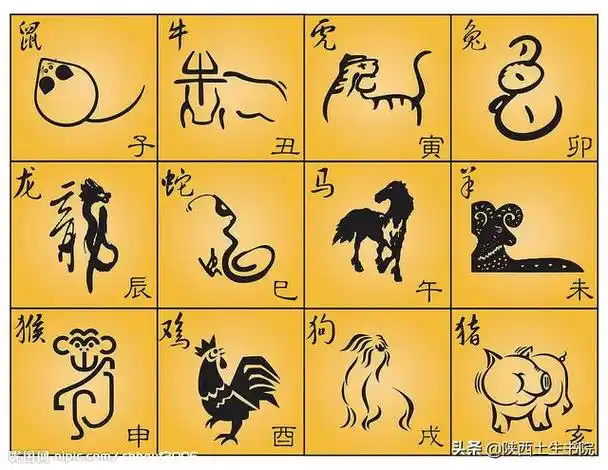 十二生肖年份表万年历十二生肖