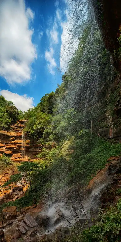 恒信·天鹅堡森林公园