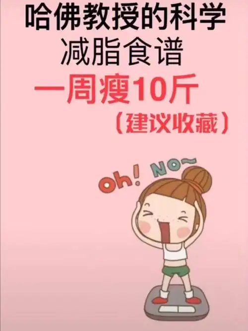 哈佛教授一周减肥食谱一周瘦十斤一起减肥