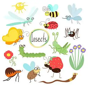 矢量,昆虫,卡通,风格,隔绝,白色背景,蝴蝶,蚊子,蜘蛛,瓢虫