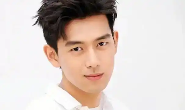 姓李的明星有哪些