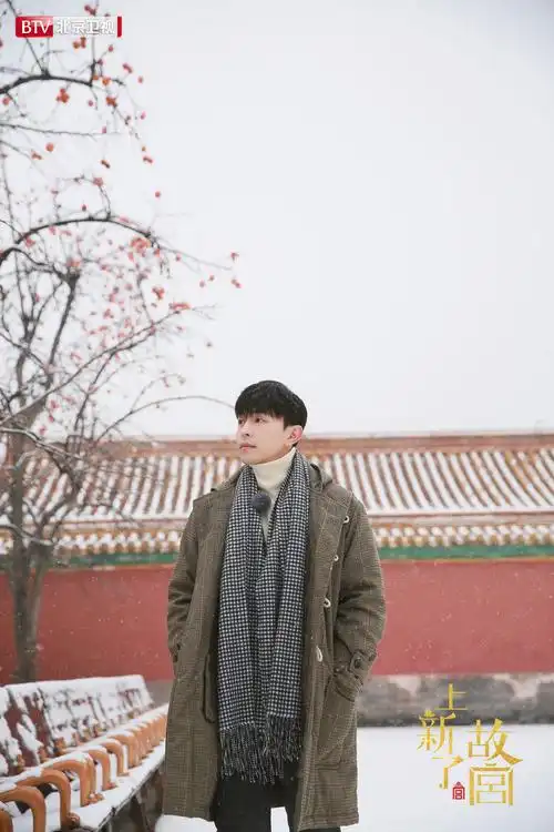 邓伦故宫雪景帅气写真图片49