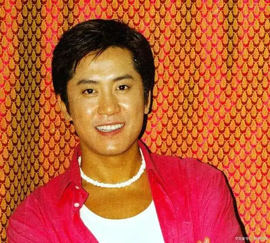 曾经青春年少帅气的毛宁长什么样子你们还记得吗