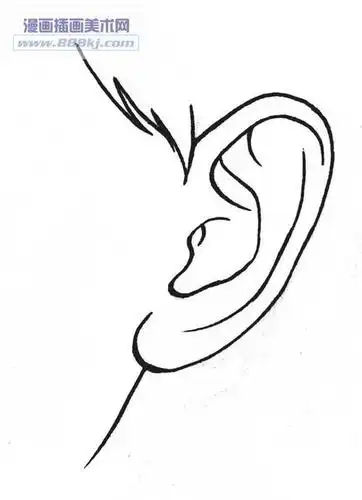 漫画耳朵简笔画步骤