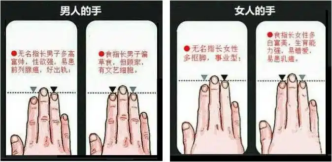 从手指长短看你的健康?真相原来是这样