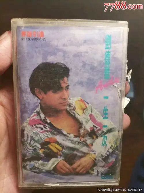 刘德华:一生一次