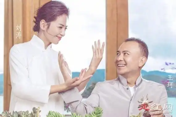 刘涛老公王珂是谁重回娱乐圈赚钱养家