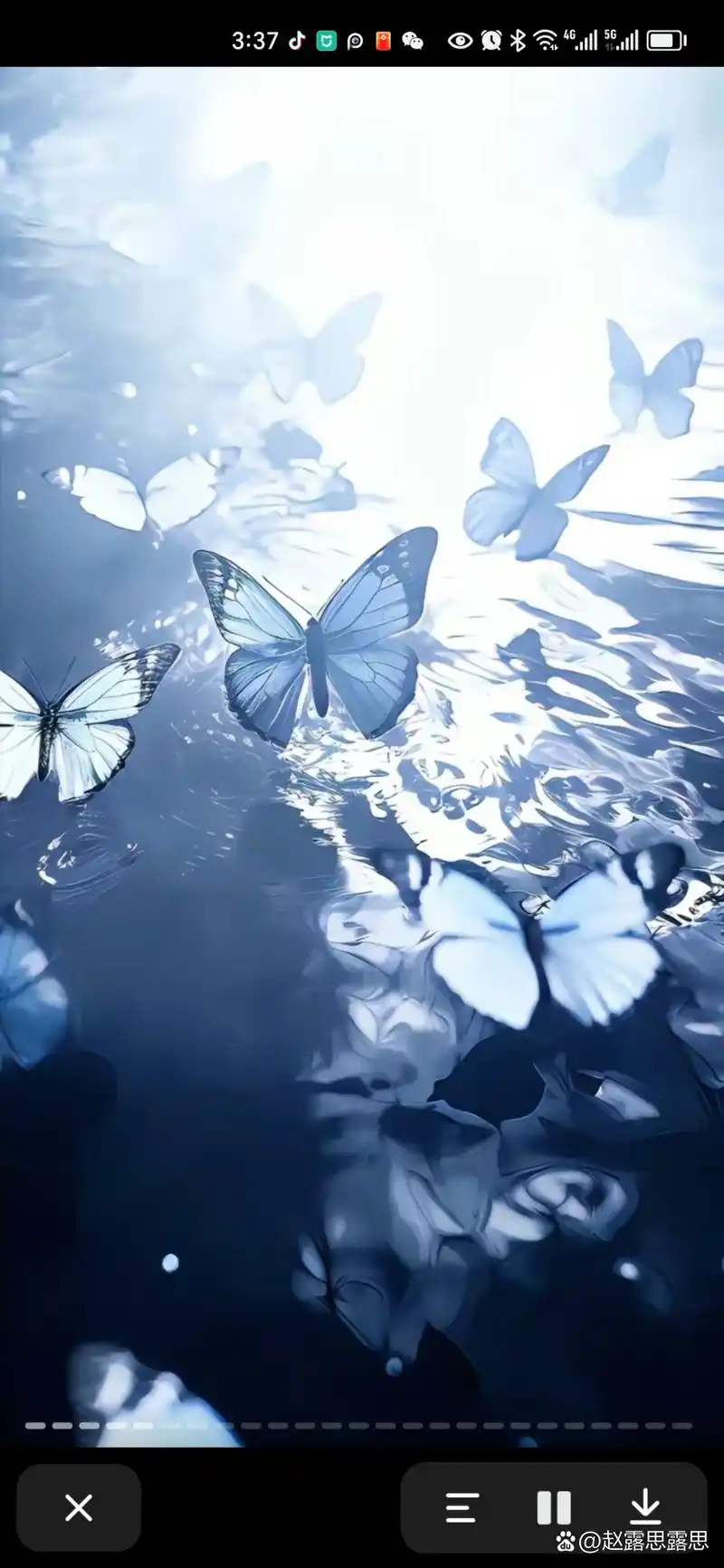 要一百个春天身死,蝴蝶才会忘却相思. 蝴蝶#绝美壁纸#氛围感#ins风