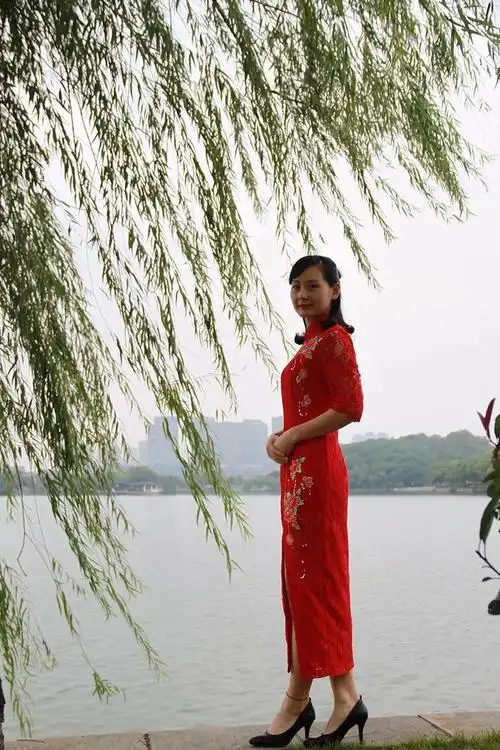 旗袍丽人知性优雅