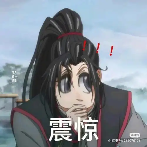 魔道祖师表情包