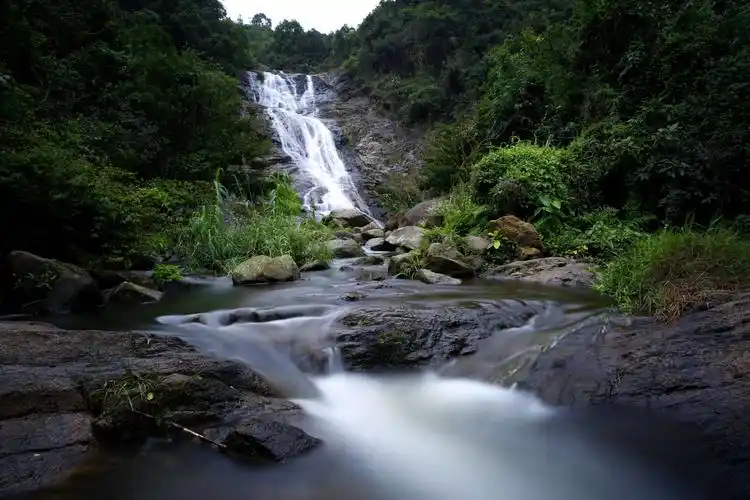 深圳【马峦山】郊野公园