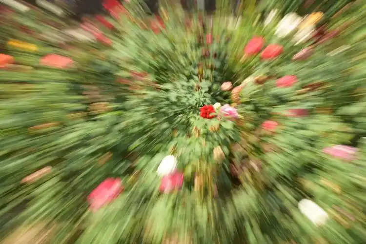 旋焦和变焦拍摄的小景