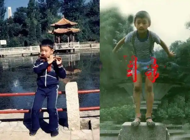 《小舍得》5位演员童年经历:宋佳被"家暴",佟大为太艰苦