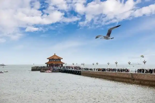 出游青岛栈桥_四川论坛_太平洋汽车网论坛