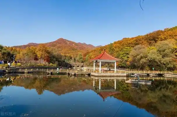 2023年10月12日,金秋时节,吉林省吉林市,国家四a级景区一一朱雀山森林
