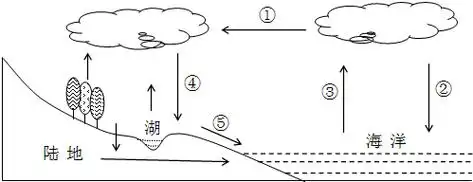 读水循环示意图,完成4～5题.4.下列实现着图中①的功能的是( )5.