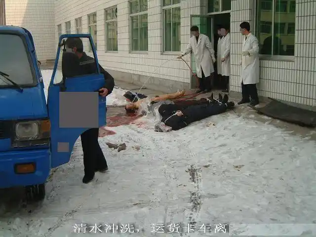 死囚枪毙全过程 - mfk800 - mfk800的博客