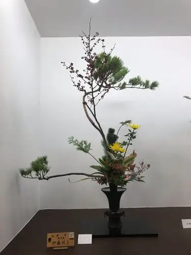 与花儿共舞——池坊·立花(九)