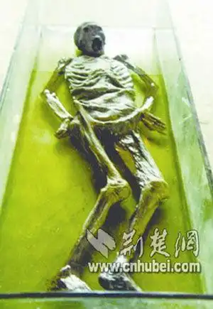 图为曾经出土的古尸(资料图片)古尸身上所穿的衣服看得出有些华丽这是