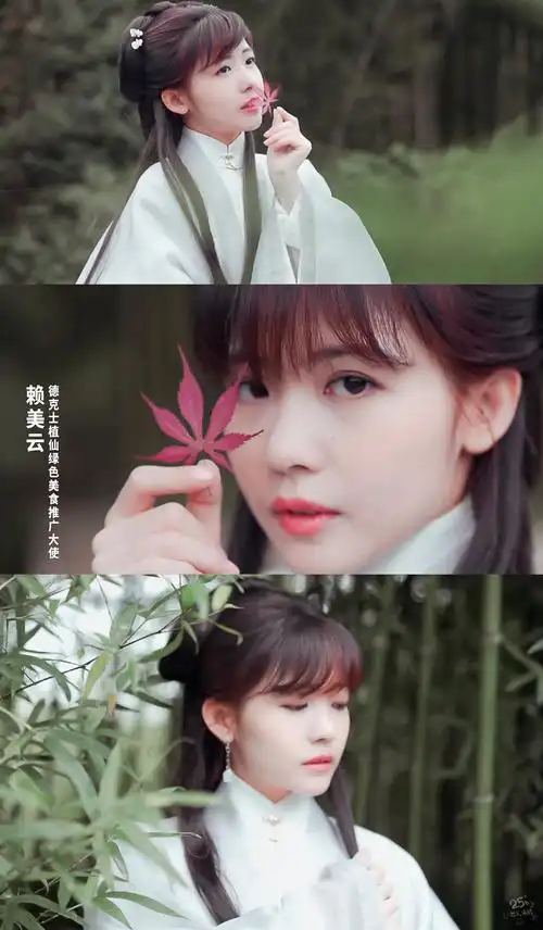 赖美云 古装截修  之前 双马尾 还不错