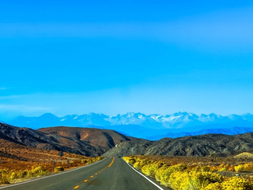 2021年1月开始,鸿运当头,财运旺盛,事业蒸蒸日上,生活顺风顺水的三