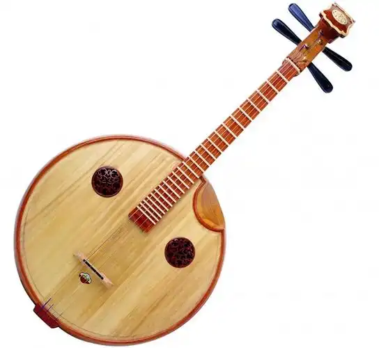 中国d弹拨类乐器除了吉他还有啥