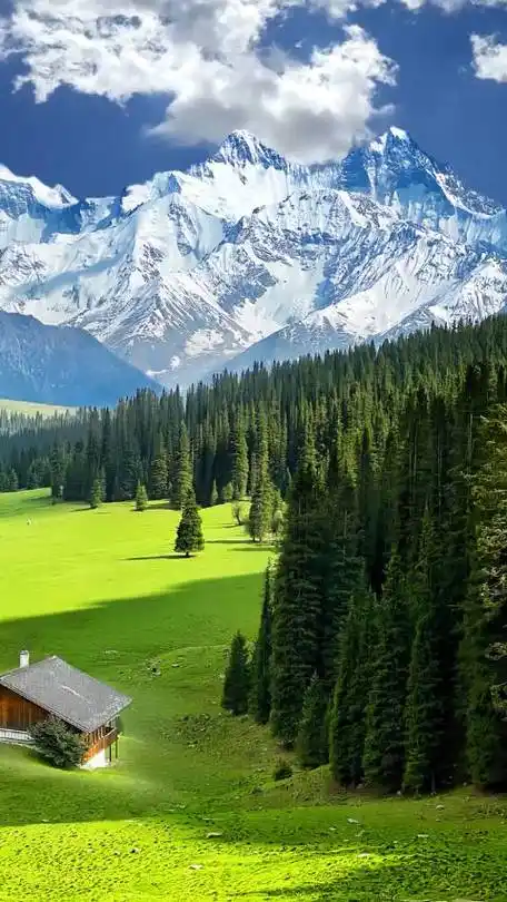 夏天一定要去趟那拉提草原|那拉提草原_新浪新闻