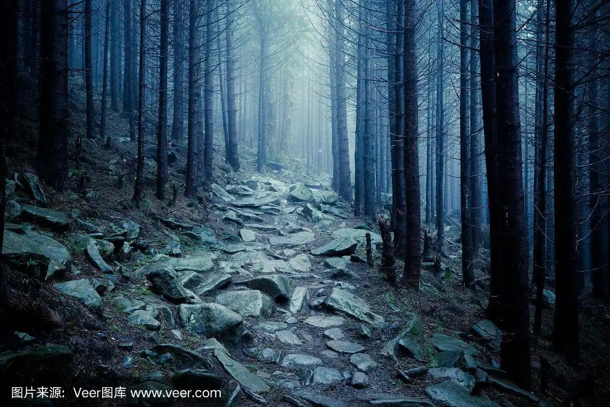 黑暗迷雾的神秘森林.岩石小径穿过黑夜的森林