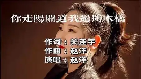 赵洋一首伤感歌曲《你走阳关道我过独木桥》听哭了多少有故事的人