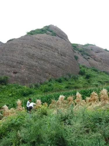 首阳山,因其位列群山之首阳光先照而得名,谓之"陇中名山",山势巍峨高