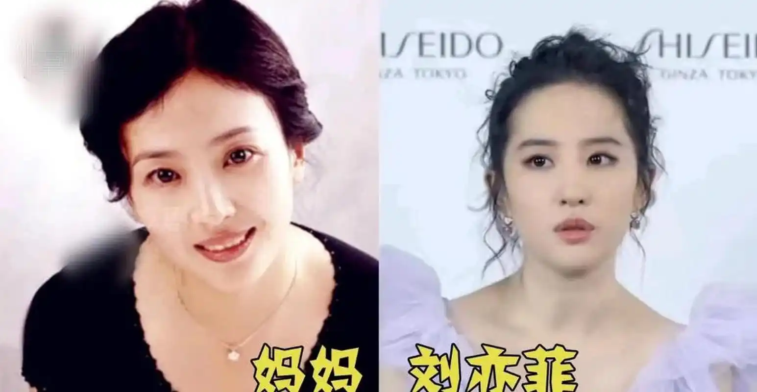 gif创作人# 不出道可惜了的明星父母,鞠婧祎妈妈力破整容传言,刘亦菲