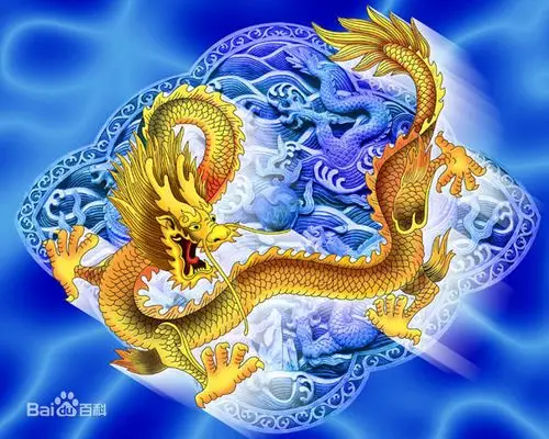 飞龙图片_百度百科