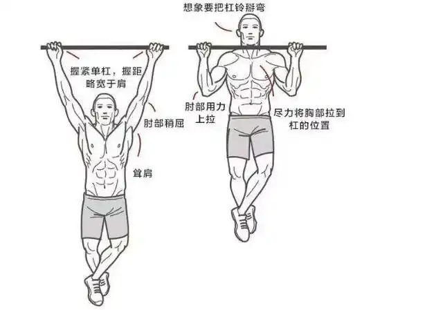 力量的象征,提高肱二头肌的魅力,这5个原则不能忘记