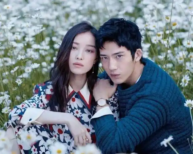 分手6年后,再看井柏然境遇,才发现他和倪妮本就不是"一路人"